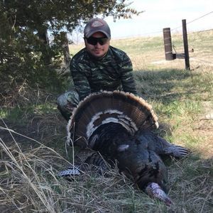 Meet your Posher, Briar